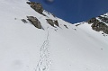 IMG_29251