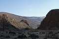 IMG_29273