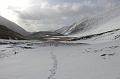 IMG_29362