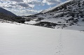 IMG_29373