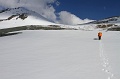IMG_29379
