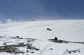 IMG_29424