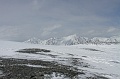 IMG_29446