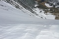IMG_29495