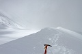 IMG_29555
