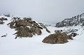 IMG_29658