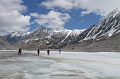 IMG_29677