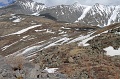 IMG_29713