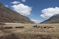 IMG_29818