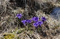 IMG_29837