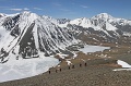 IMG_30031