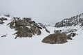 IMG_29658