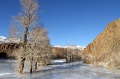 IMG_32156