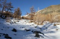 IMG_32250