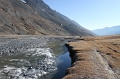 IMG_32568
