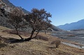 IMG_32569