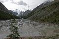 IMG-32619
