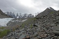 IMG-32636