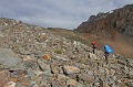 IMG-32655