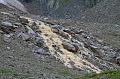 IMG-32895