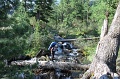 IMG-33161