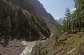IMG-33181
