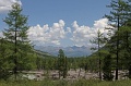 IMG-33184