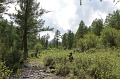 IMG-33185