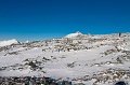 IMG_33527