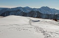IMG_33539