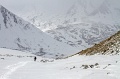 IMG_34372