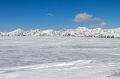 IMG_34446