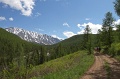 IMG_34523