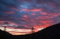 IMG_34667