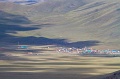 IMG_35198