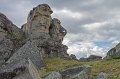 IMG_34869