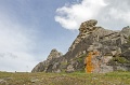 IMG_34994