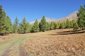 IMG_36336