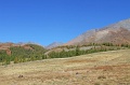 IMG_36351