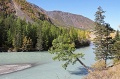 IMG_36368