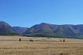 IMG_36415