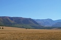 IMG_36416
