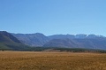 IMG_36417