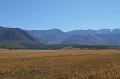 IMG_36418