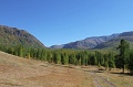 IMG_36444