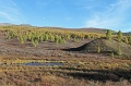 IMG_36452