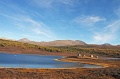 IMG_36460
