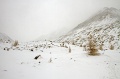 IMG_37254