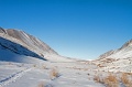 IMG_37315