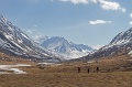 IMG_37707